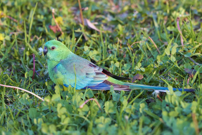 DSC_5305.jpg