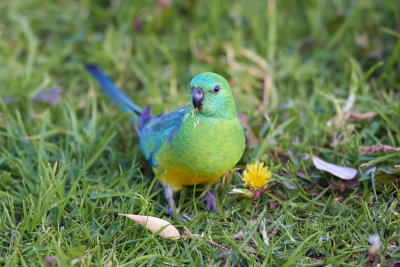 DSC_5352.jpg