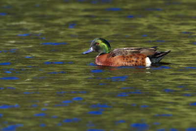 DSC_6430.jpg