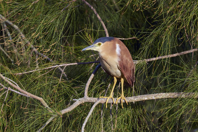 DSC_7701.jpg