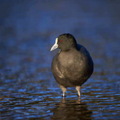DSC_8102.jpg