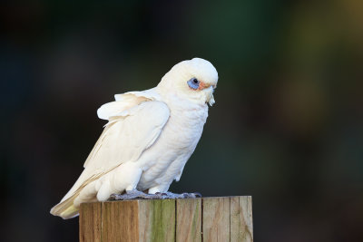 DSC_7977.jpg