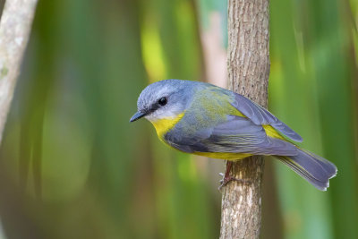 DSC_0291.jpg