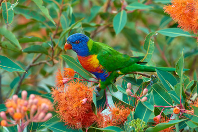 DSC_4088L.jpg