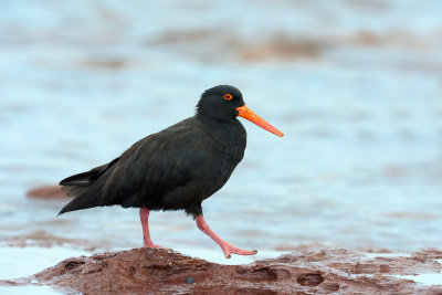 DSC_8627.jpg