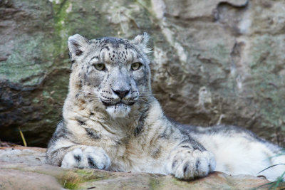 DSC_2344.jpg