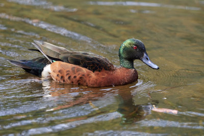 DSD_9460.jpg