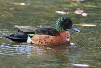 DSD_9466.jpg