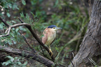 DSD_9490.jpg