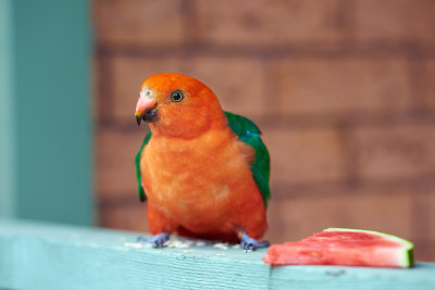 DSC_4392.jpg