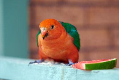 DSC_4403.jpg