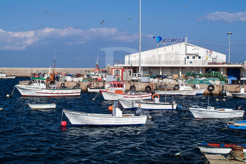 Docapesca Sagres