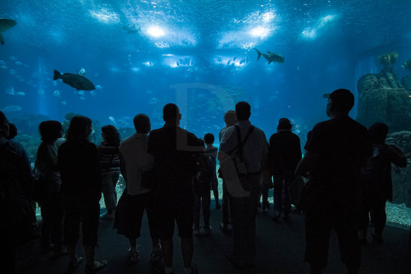 Oceanrio de Lisboa