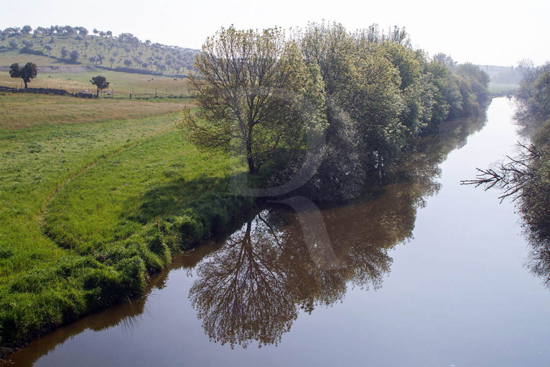 Ribeira de Seda