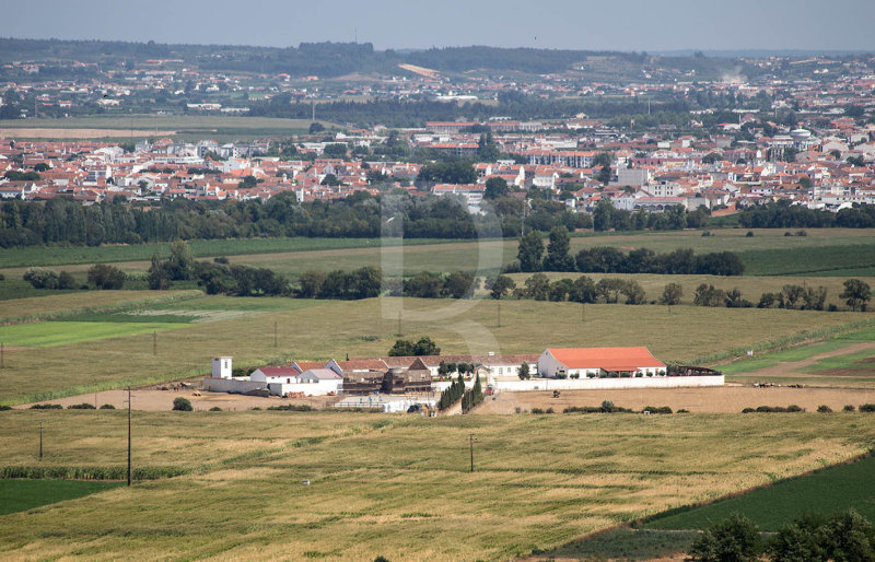 Casa Agrcola na Lezria Ribatejana