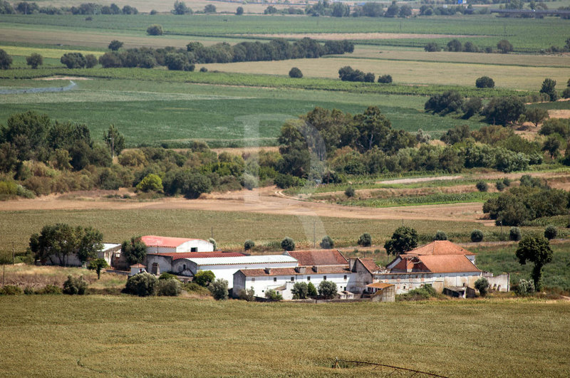 Casa Agrcola na Lezria Ribatejana