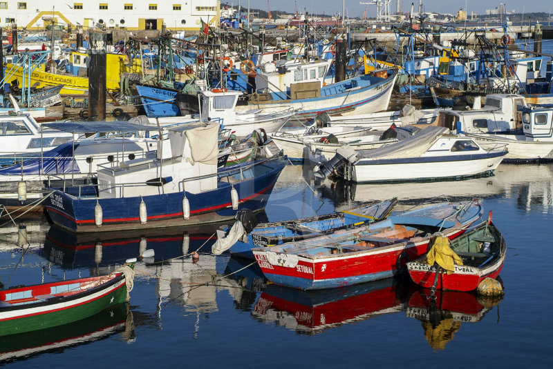 The Fishing Boats Harbour