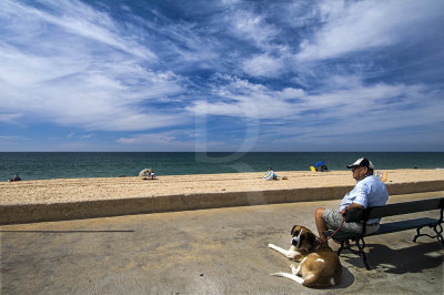 Praia de Faro