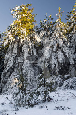 Serra da Estrela