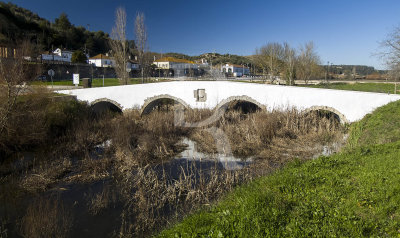 Ponte de Alcource (IIP)