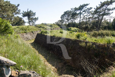 Forte de São Vicente (IIP)
