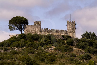 Castelo de Alcanede (IIP)