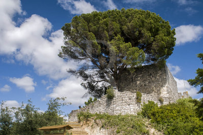 Runas do Castelo de Alcanede (IIP)