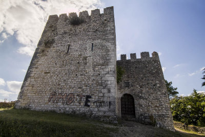 Runas do Castelo de Alcanede (IIP)