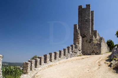 Castelo de Montemor-o-Velho