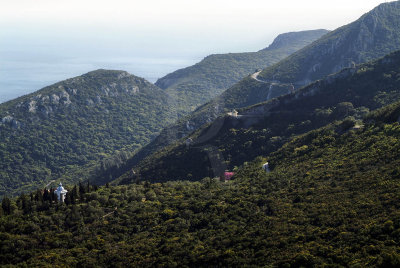 Conventinho da Arrbida e Mata de Carvalhos (IIP)