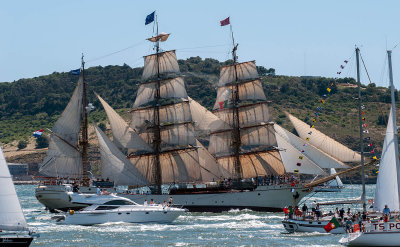 Tall Ships Races - Europa