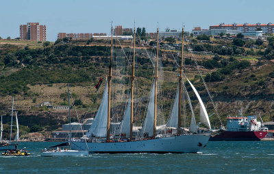 Tall Ships Races - Creoula