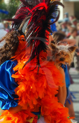 Carnaval 2007