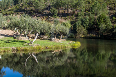 Praia Fluvial do Malhadal