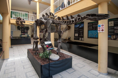 Fsseis de Dinossauros com 150 Milhes de Anos (Jurssico Superior)