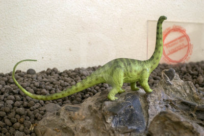  Brachiosauros
