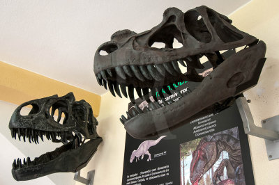 Allosaurus fragilis e Ceratosaurus nasicornis