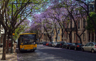 Avenida Dom Carlos I