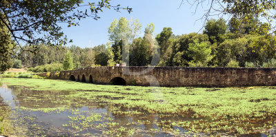 Ponte do Cabeo do Vouga (IIP)