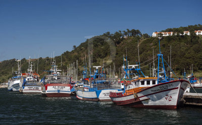 A Docapesca de Vila do Conde na Nazar