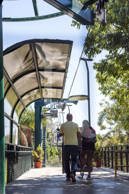 O Telefrico do Zoo