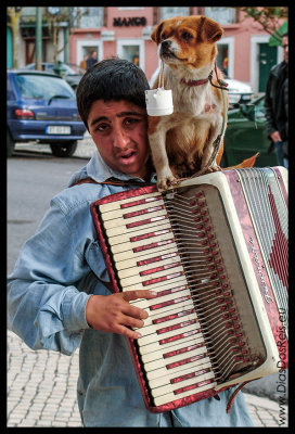 The Boy, the Dog and the Accordion (Caldas da Rainha)