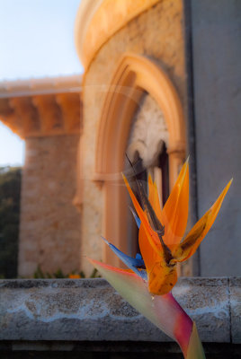 Parque de Monserrate