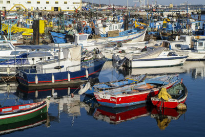 The Fishing Boats Harbour