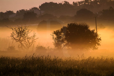 Algarve's Mystic Mornings