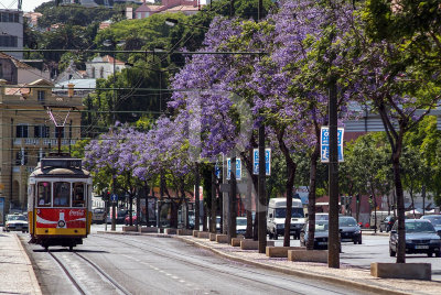 Av. 24 de Julho