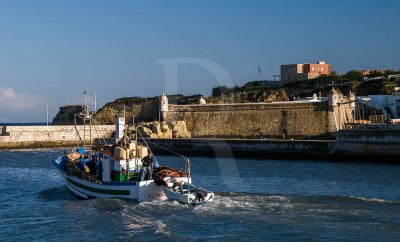 Forte do Pau da Bandeira