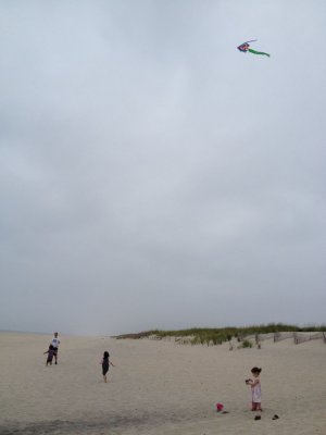 IMG_4456.jpg