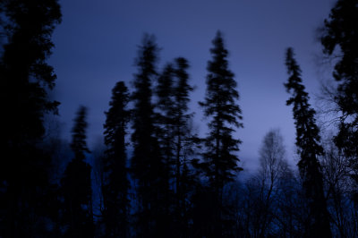 DSC_1214.jpg