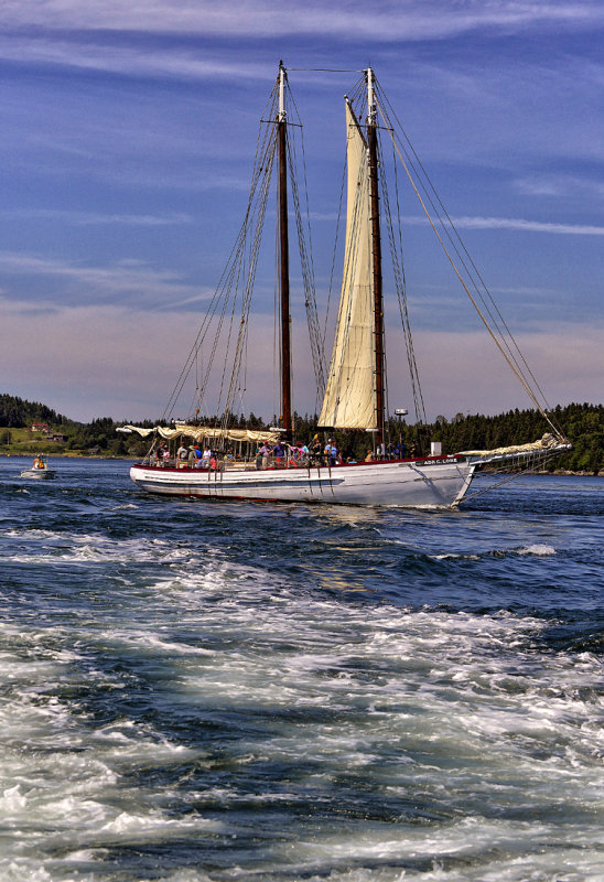 Maine Sailing